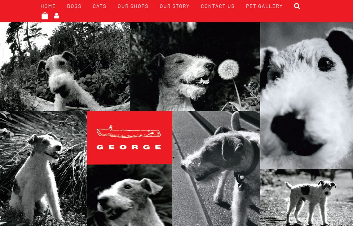 georgesf.com website